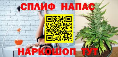 ECSTASY Будённовск