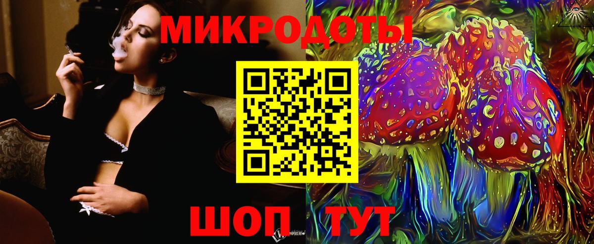 Псилоцибиновые грибы Psilocybe Унеча
